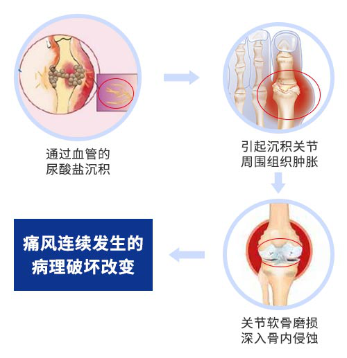 成都肌骨超声